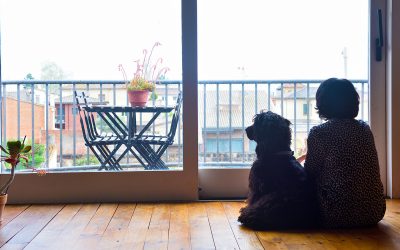 ‘Why’ is the Wrong Question